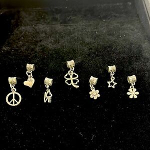 Qty-1 Charms Fit into Pandora and European Bracelets